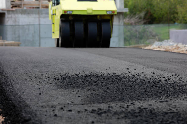 Best Local Driveway Pavers  in Camden, SC